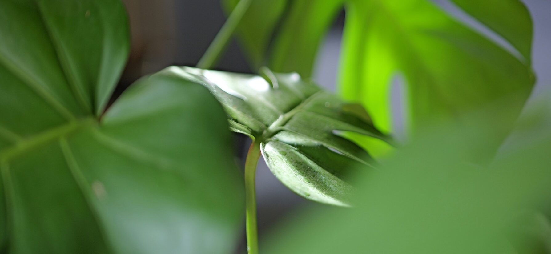 Sustainability customer charter