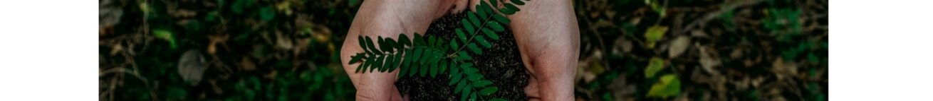 How to be more sustainable at home