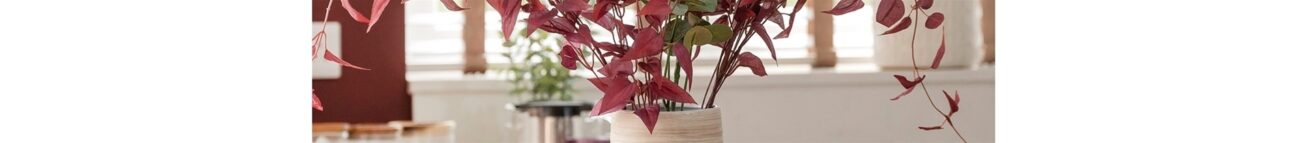 Is a luxury new build right for you