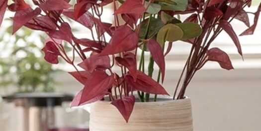 Is a luxury new build right for you