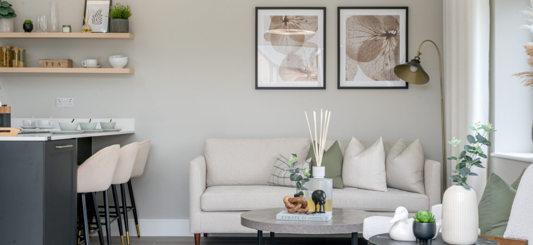 Show Home PH 50