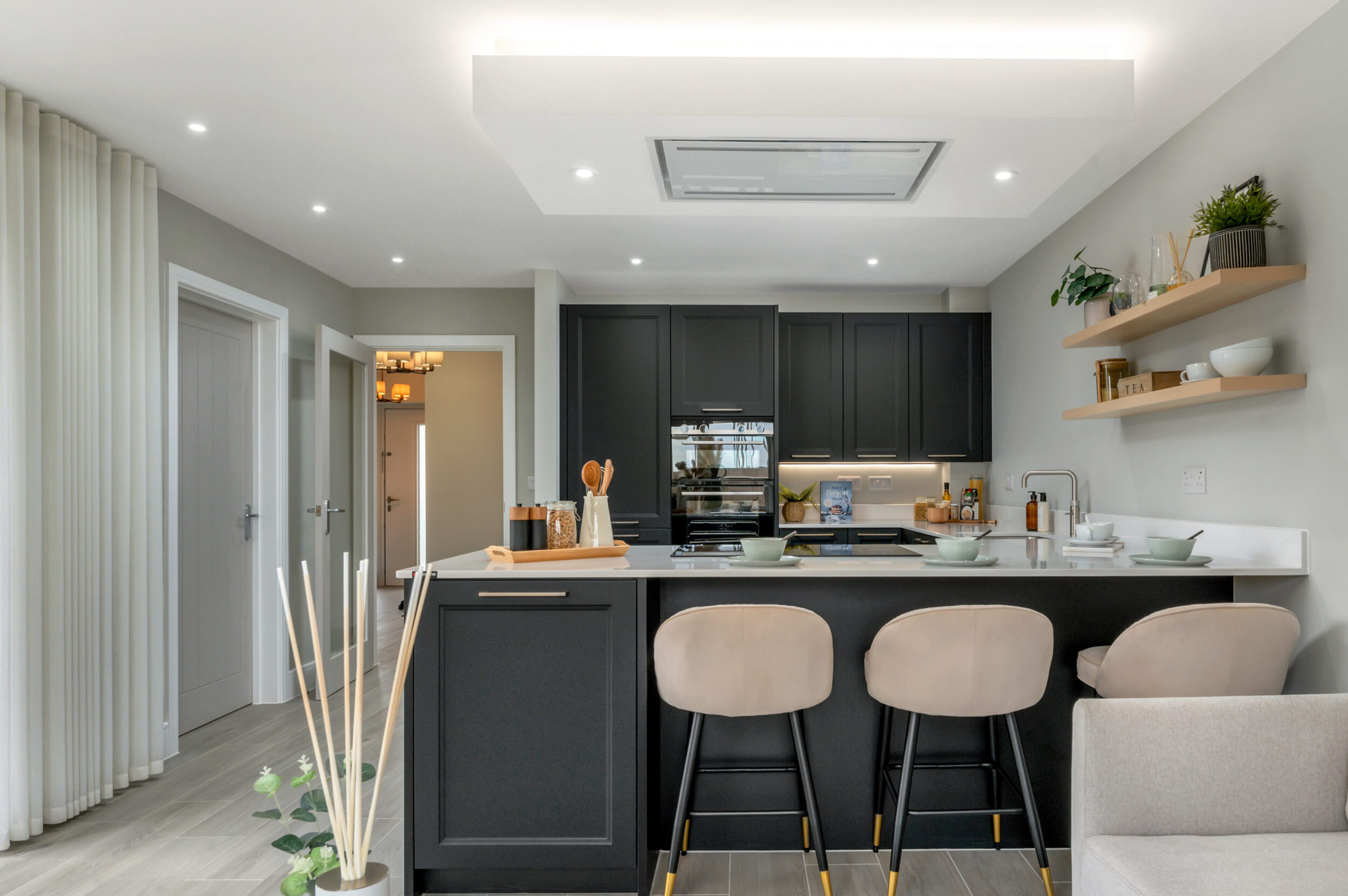 Show Home PH 41