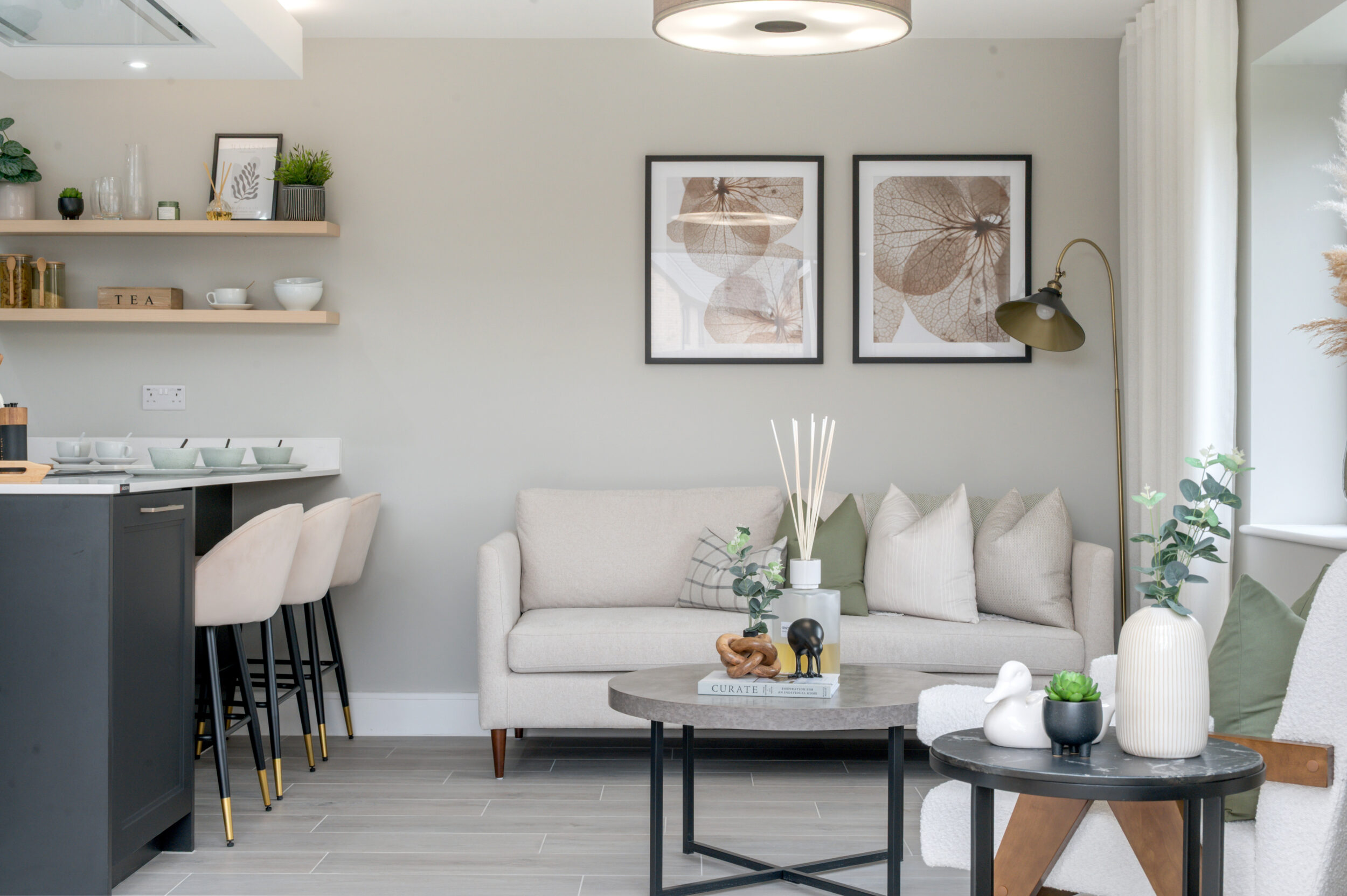 Show Home PH 50