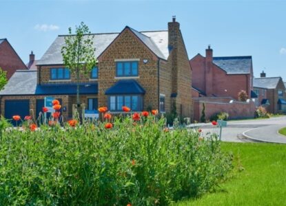 Chestnut edge stoke albany